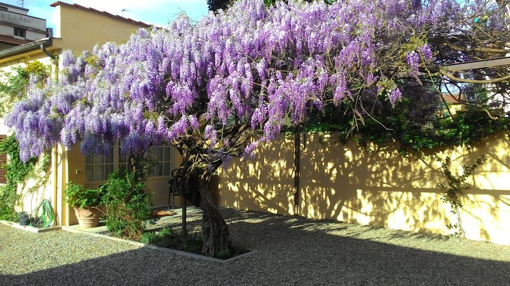 Villino Fiorentino Florenţa Exterior foto